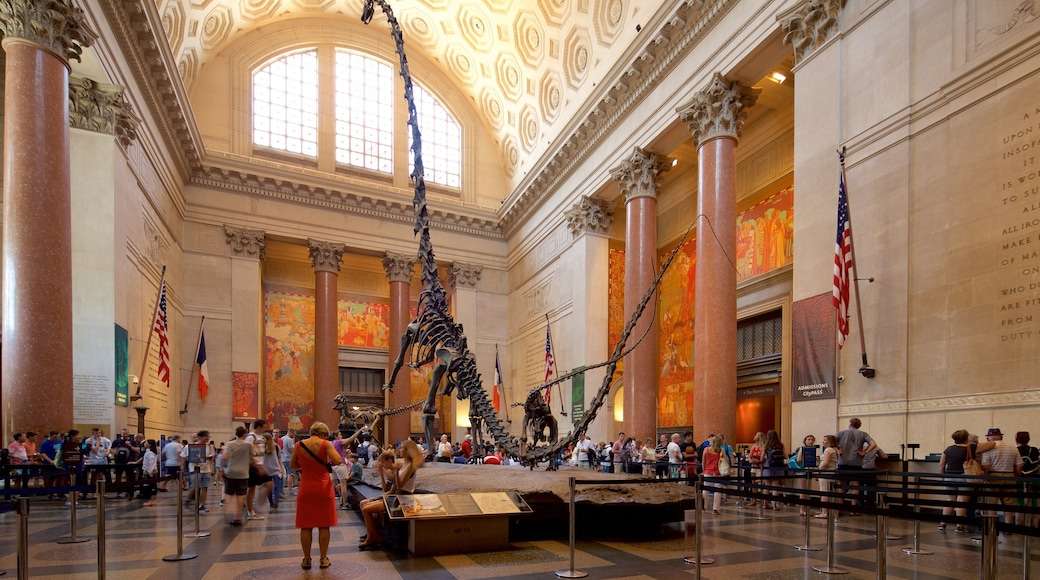 Visit American Museum of Natural History in New York