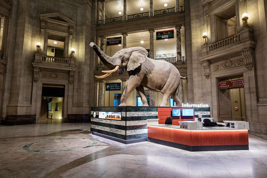 Washington DC Virtual Tour: Online Museums &  Virtual Field Trip
